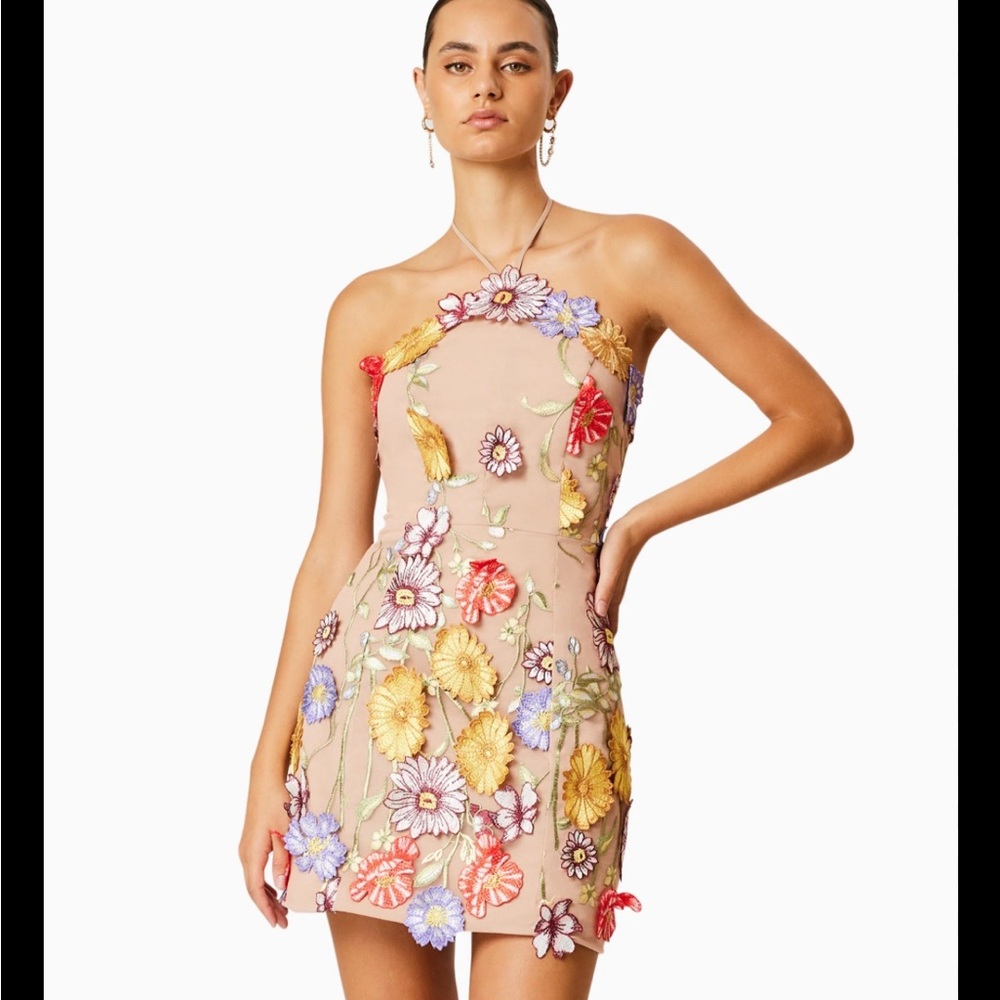 Elliatt Fair Dress
